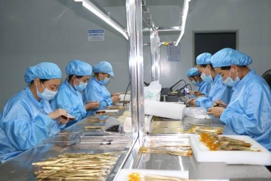 建設50億級產業(yè)集群 郟縣傾力打造中部地區(qū)知名醫(yī)用耗材產銷地